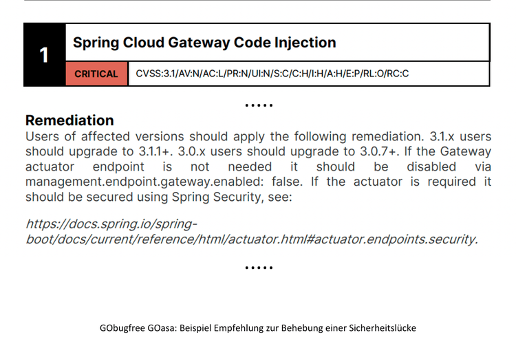 goasa-sample-recommendation-DE.png
